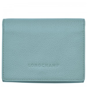 Men Longchamp Le Foulonné Wallet Blue | Ireland-894VEGZOX
