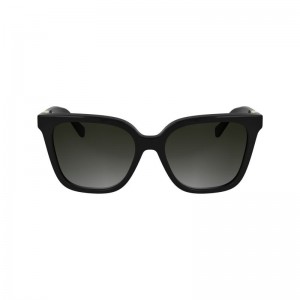 Women Longchamp Acetate Sunglasses Black | Ireland-758QPIYVR