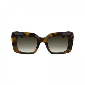 Women Longchamp Acetate Sunglasses Brown / Green | Ireland-563MXILTA