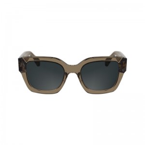 Women Longchamp Acetate Sunglasses Brown | Ireland-162XKMOFT