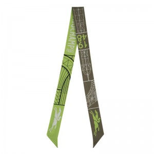 Women Longchamp Eiffel Tower 1948 Headband Olive / Multicolor | Ireland-856DWJQPY