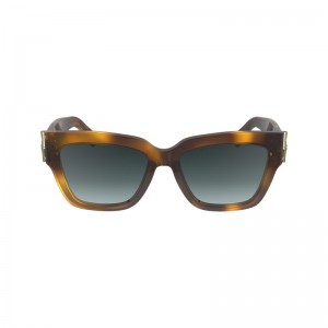 Women Longchamp Fall-winter 2023 Collection Sunglasses Brown | Ireland-429TSZOWL