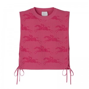 Women Longchamp Knit Top Pink | Ireland-496QHXZOK
