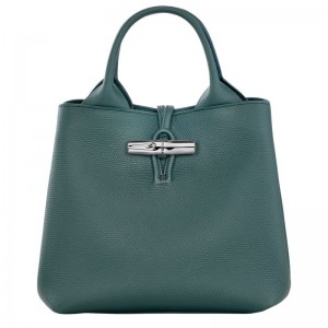 Women Longchamp Le Roseau S Handbag Blue Green | Ireland-912IAVORD