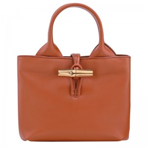 Women Longchamp Le Roseau Xs Handbag Orange | Ireland-961FUARBN
