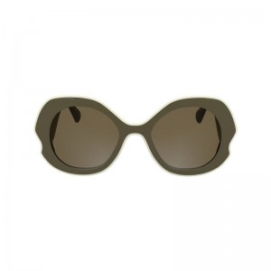 Women Longchamp Plant Based Resin Sunglasses Olive / Multicolor | Ireland-435KXDSWI