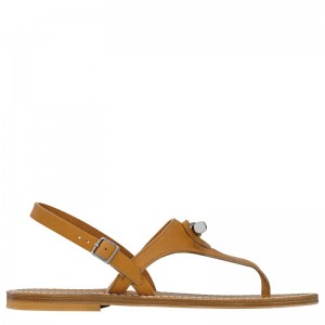Women Longchamp X K.Jacques Sandals Brown | Ireland-425URIWDJ