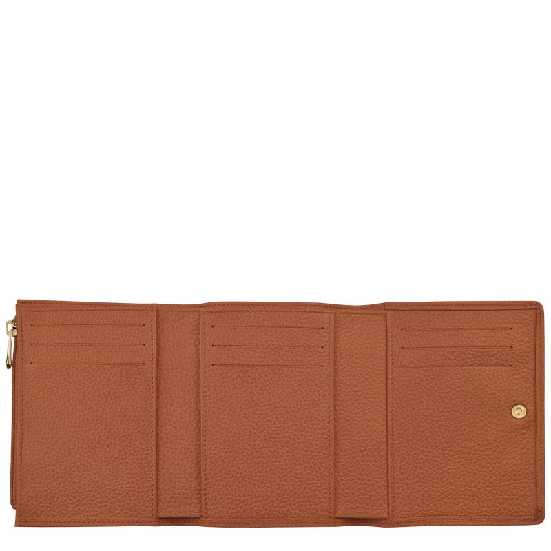 Men Longchamp Le Foulonné Wallet Brown | Ireland-417JXZCTH