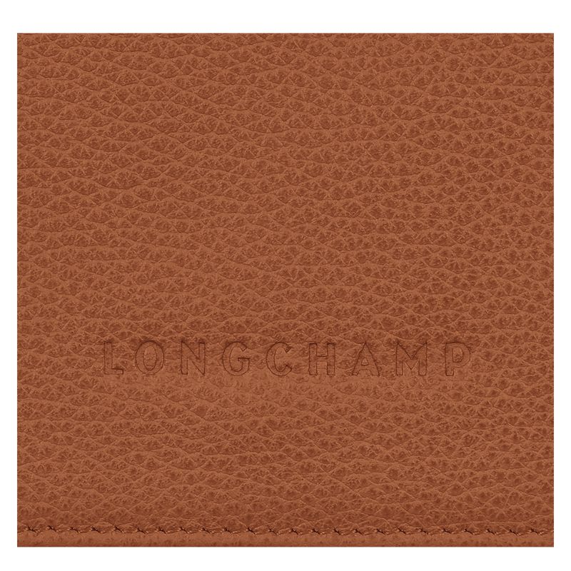 Men Longchamp Le Foulonné Wallet Brown | Ireland-417JXZCTH