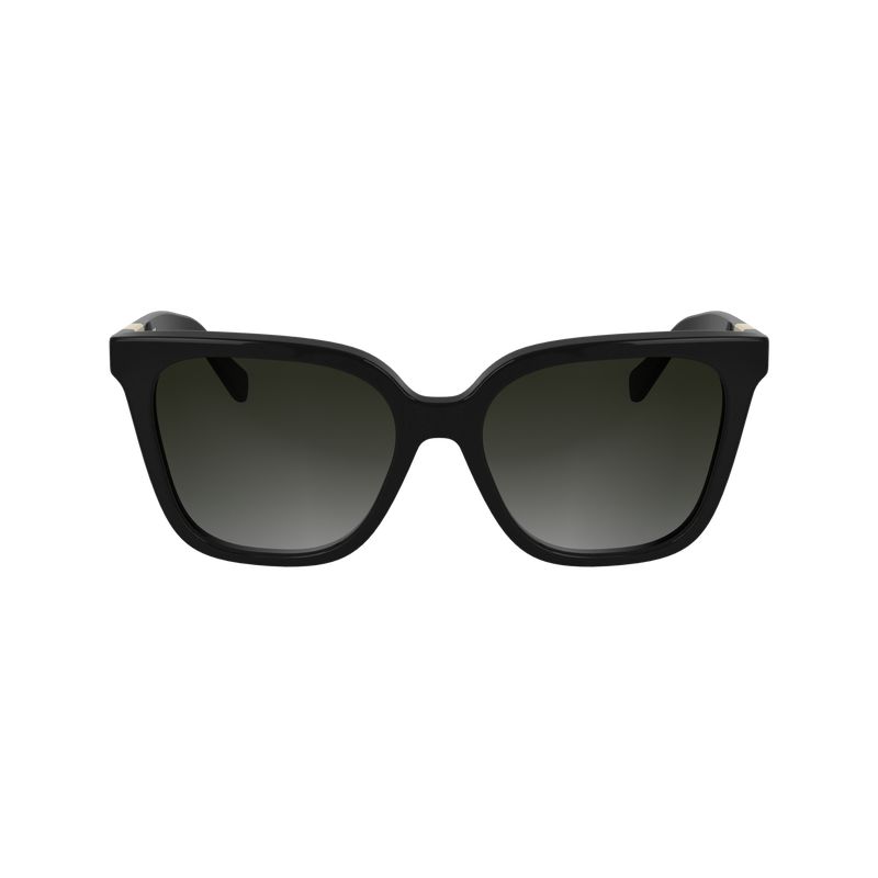 Women Longchamp Acetate Sunglasses Black | Ireland-758QPIYVR