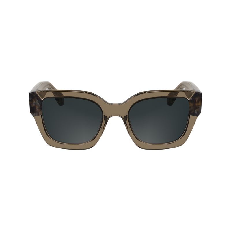 Women Longchamp Acetate Sunglasses Brown | Ireland-162XKMOFT