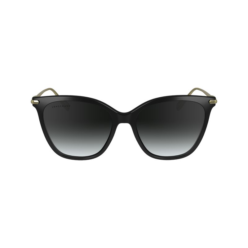 Women Longchamp Acetate / Metal Sunglasses Black | Ireland-752WZSQFY