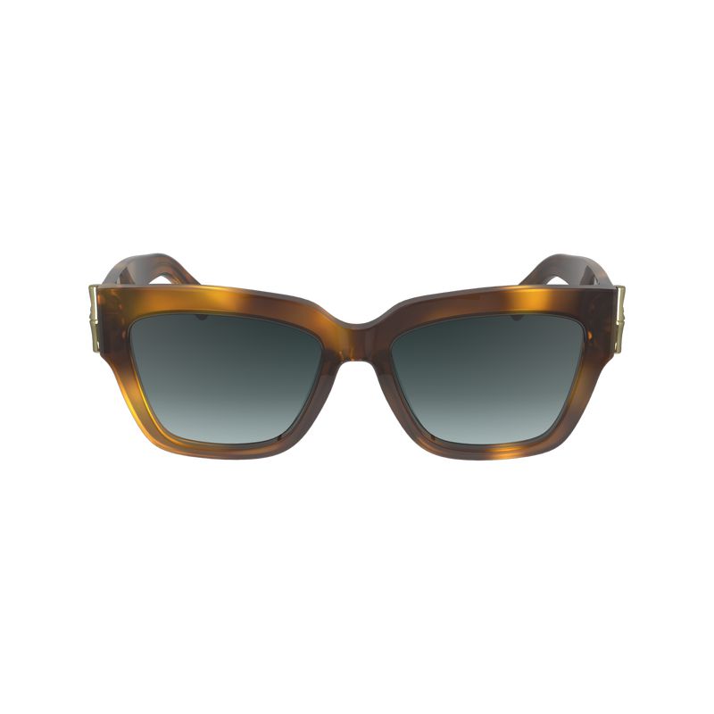 Women Longchamp Fall-winter 2023 Collection Sunglasses Brown | Ireland-429TSZOWL