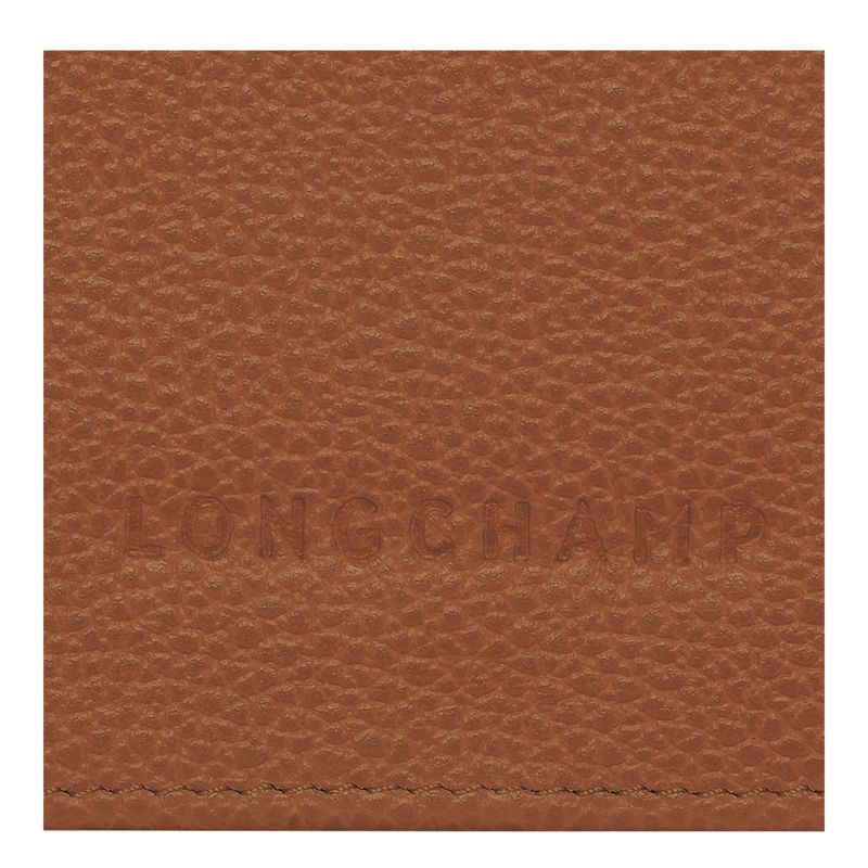 Women Longchamp Le Foulonné Continental Wallet Brown | Ireland-842OYPJAN