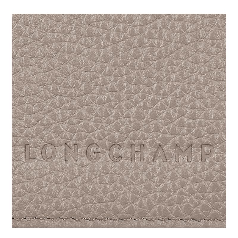 Women Longchamp Le Foulonné Passport Holder Grey | Ireland-354NGLYTR