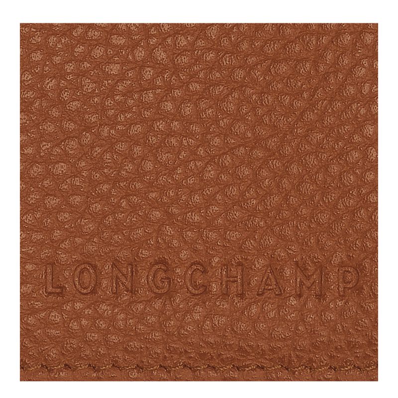 Women Longchamp Le Foulonné Passport Holder Brown | Ireland-243FGYKPV