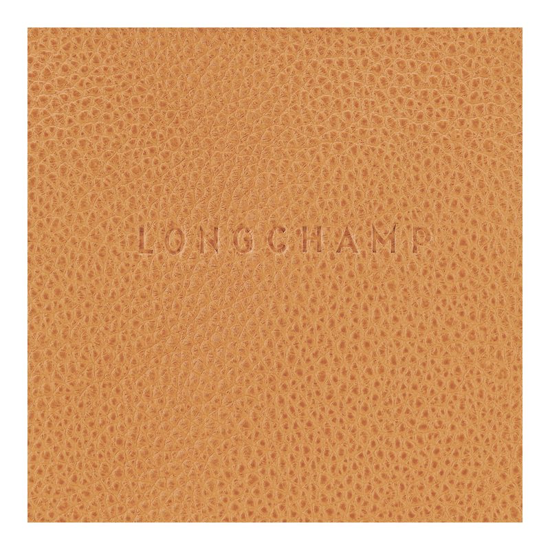 Women Longchamp Le Foulonné S Crossbody Bag Brown | Ireland-348UGHOZT