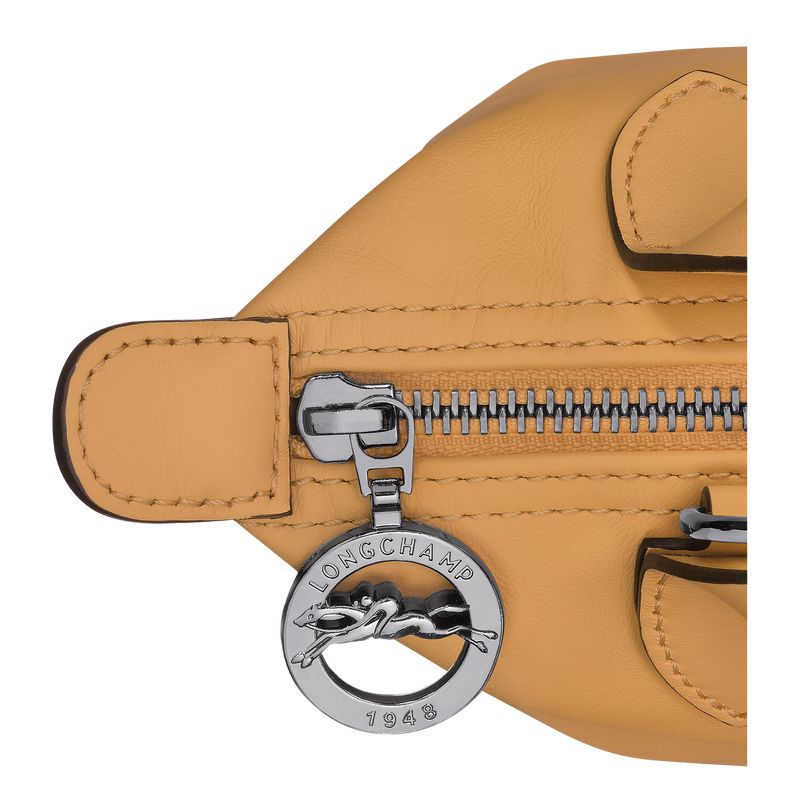 Women Longchamp Le Pliage Xtra Xs Handbag Orange | Ireland-315EMITZR