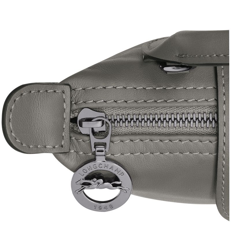 Women Longchamp Le Pliage Xtra Xs Pouch Grey | Ireland-602JATBMR