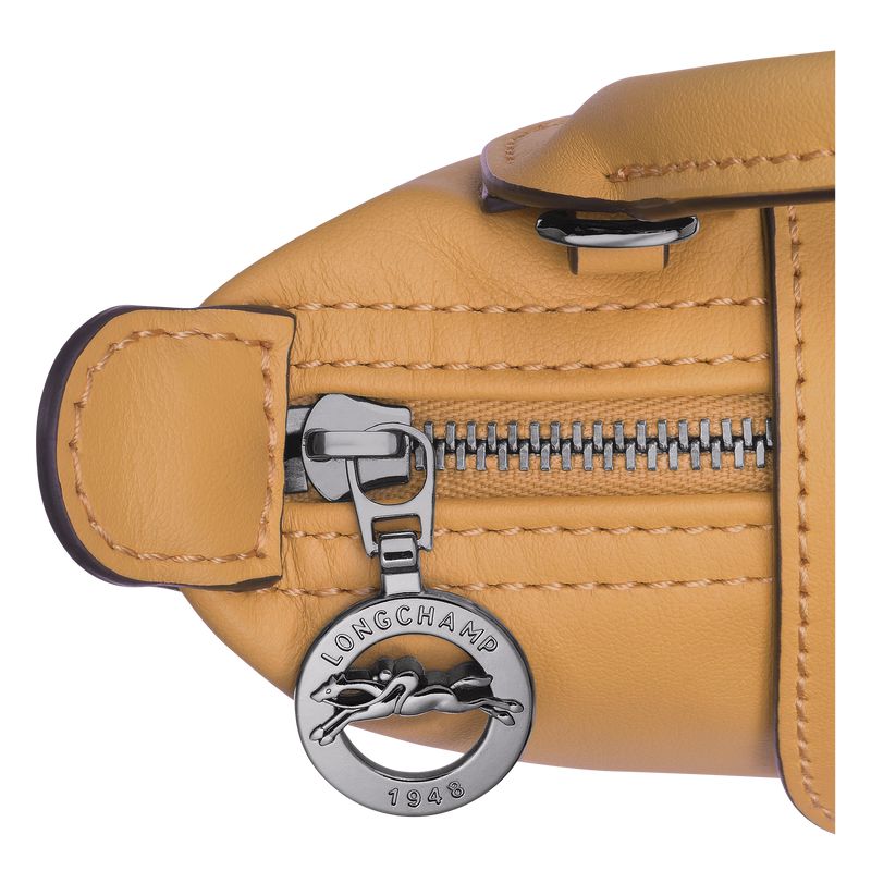 Women Longchamp Le Pliage Xtra Xs Pouch Orange | Ireland-250QLRYTU