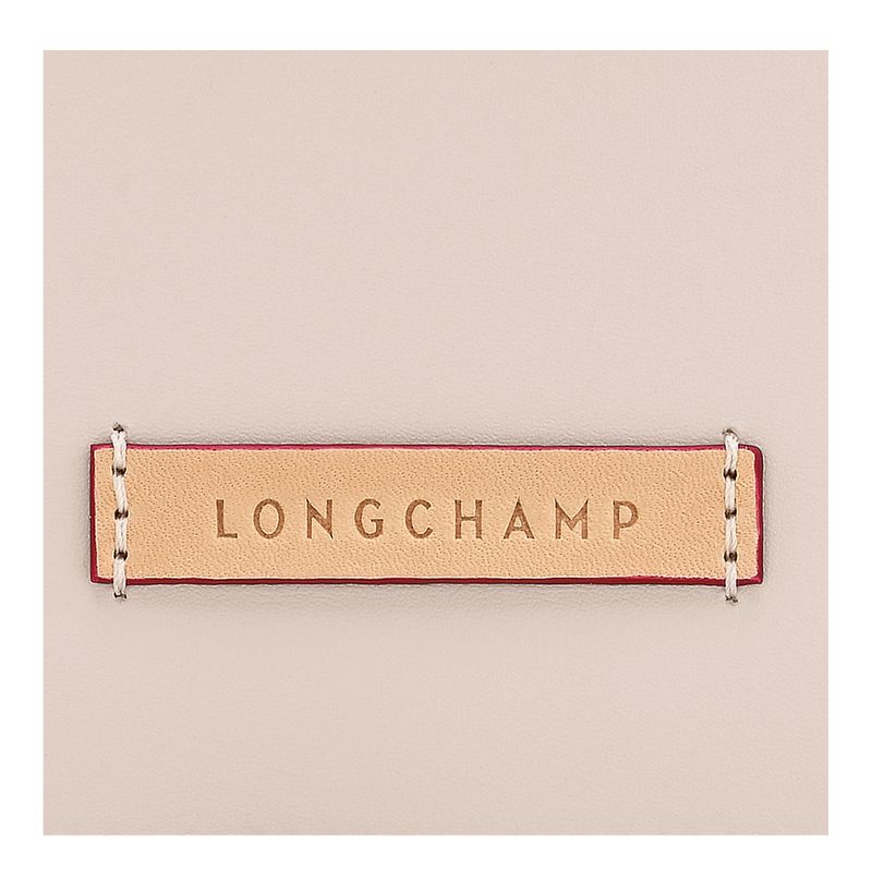 Women Longchamp Le Pliage Xtra Xs Tote Bag Beige | Ireland-125INMOBC