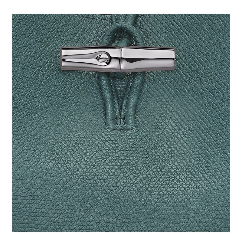 Women Longchamp Le Roseau M Shoulder Bag Blue Green | Ireland-492ARBYEG