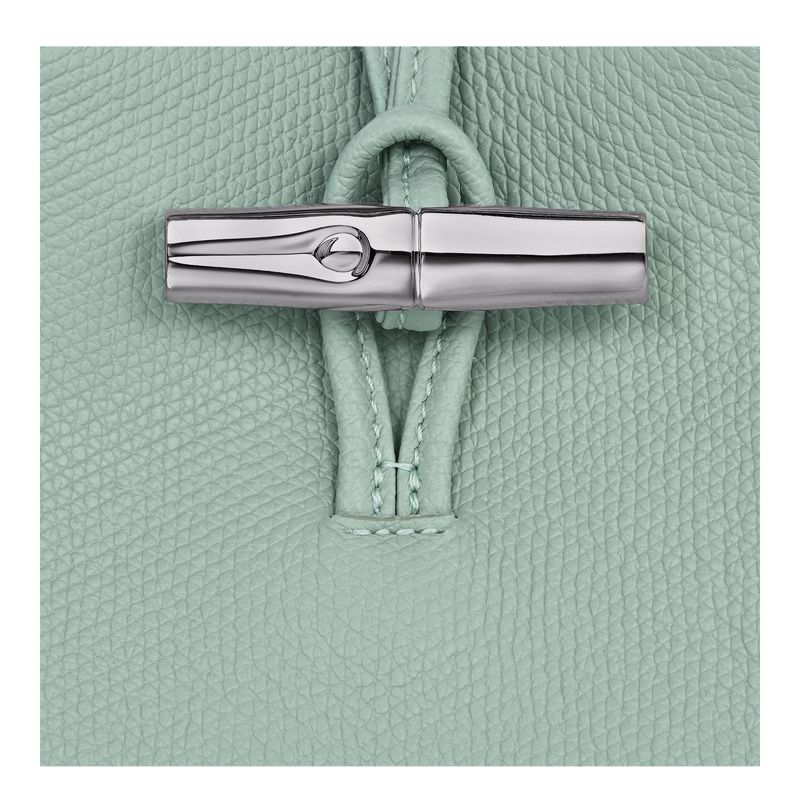 Women Longchamp Le Roseau Phone Case Blue Green | Ireland-058EDPSJR