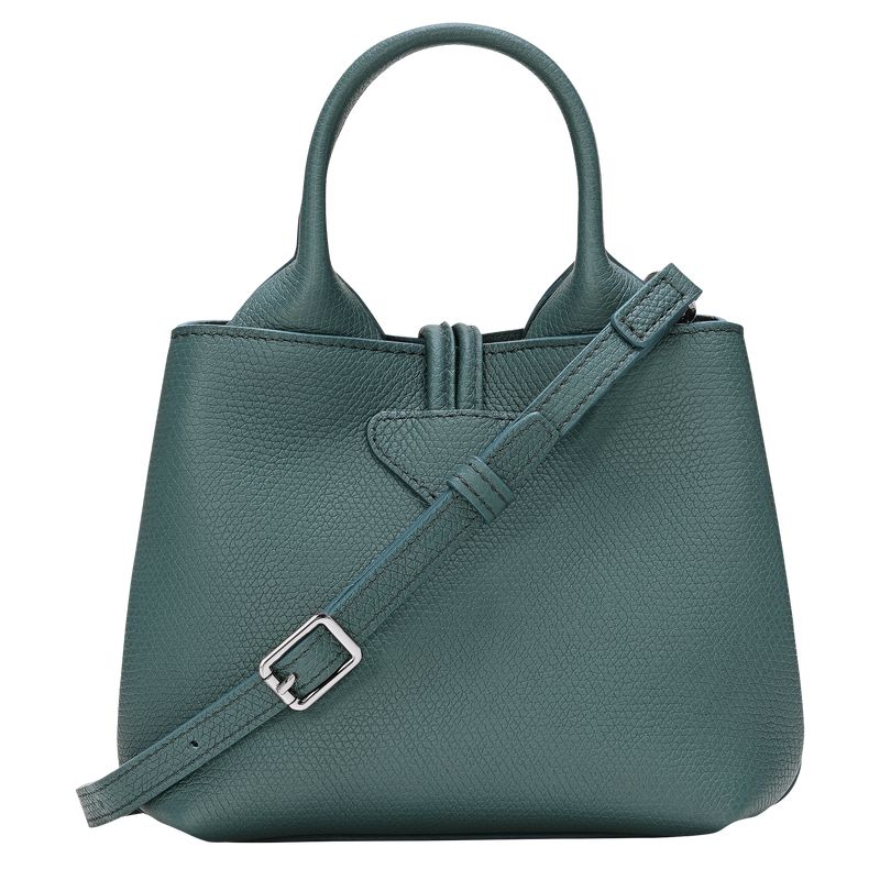 Women Longchamp Le Roseau Xs Handbag Blue Green | Ireland-254BLTDOE