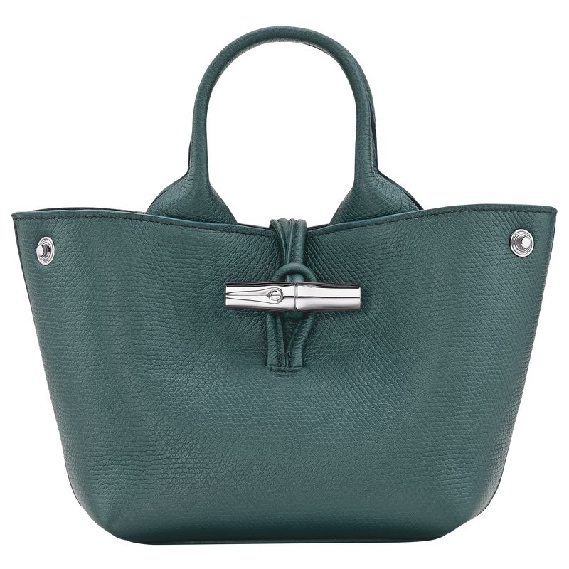 Women Longchamp Le Roseau Xs Handbag Blue Green | Ireland-254BLTDOE