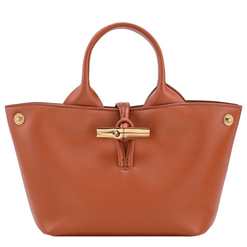Women Longchamp Le Roseau Xs Handbag Orange | Ireland-961FUARBN